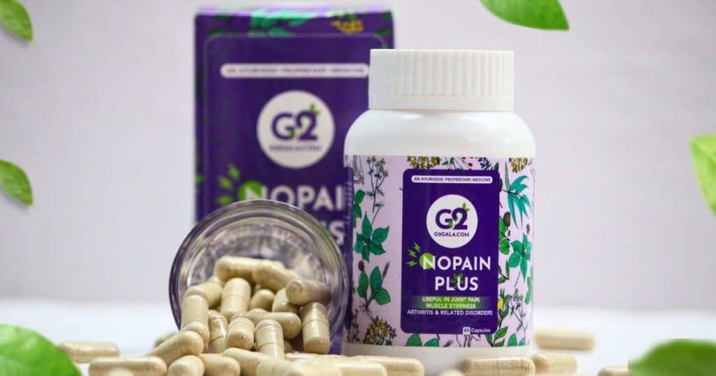 NOPAINPLUS - Trusted Ingredients in the Best Verified Painkiller Herbal Capsule