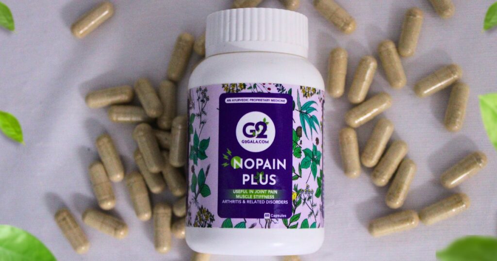 NOPAINPLUS - Verified Painkiller Herbal Capsule Ideal for Joint Pain
