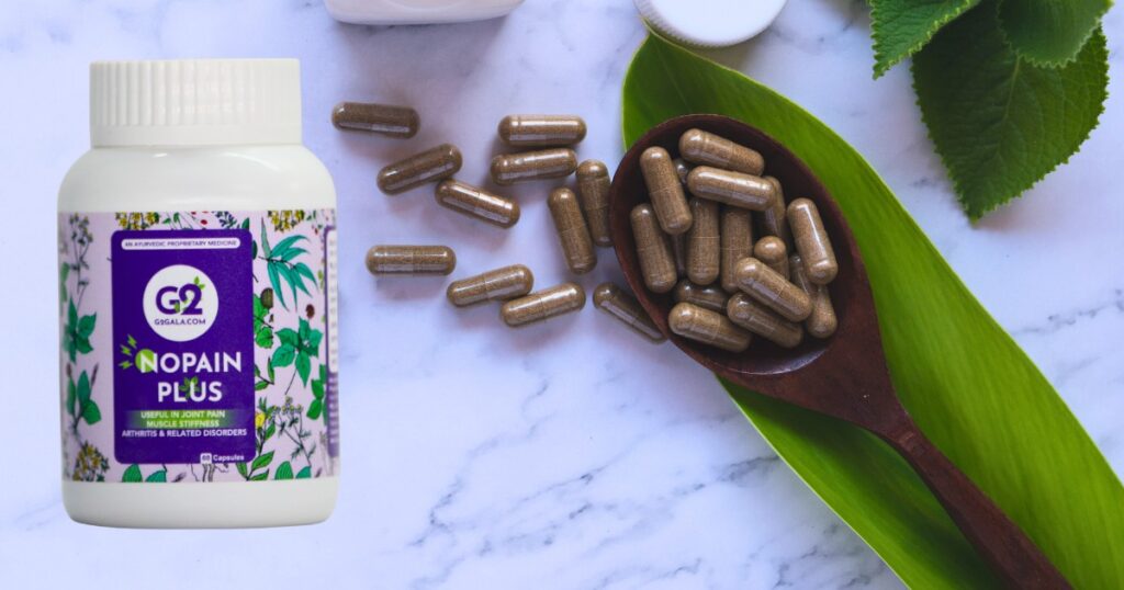 NOPAINPLUS - What to Look for in a Verified Pain Relief Capsule